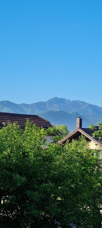 Ferienwohnung Casa Aryan Sînpetru Exterior foto