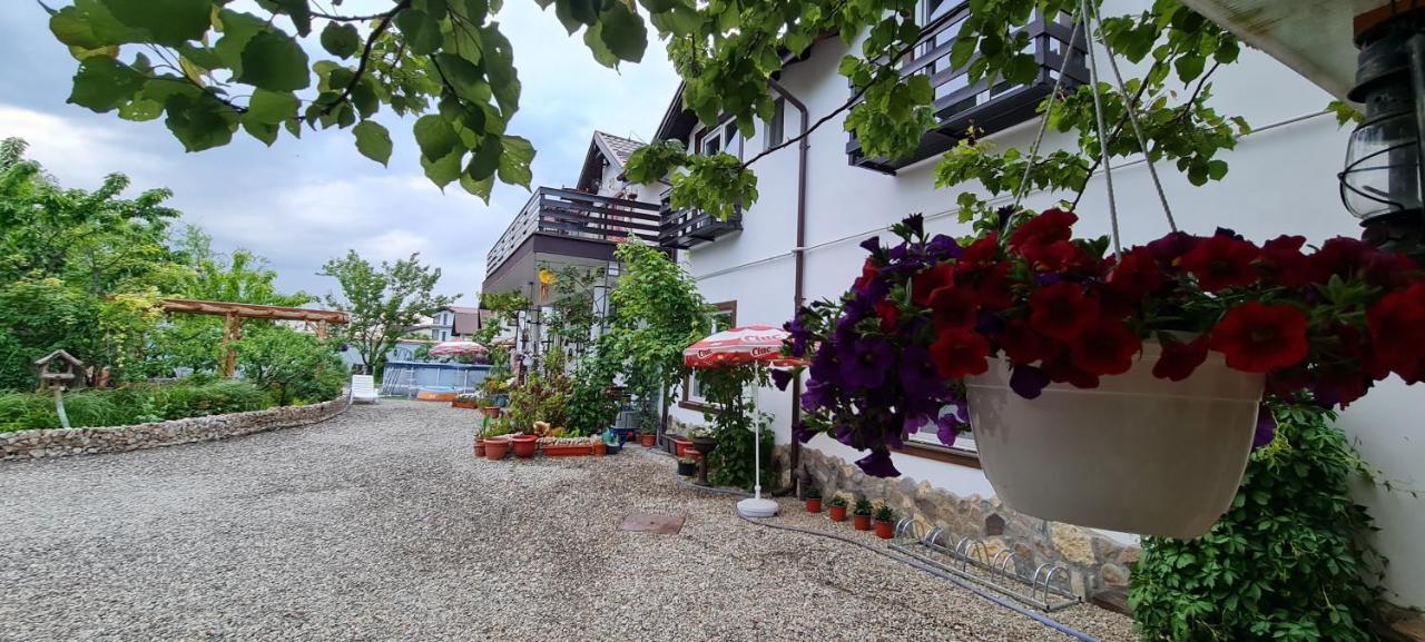 Ferienwohnung Casa Aryan Sînpetru Exterior foto