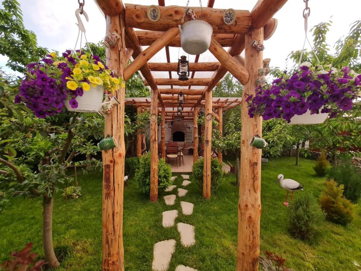 Ferienwohnung Casa Aryan Sînpetru Exterior foto