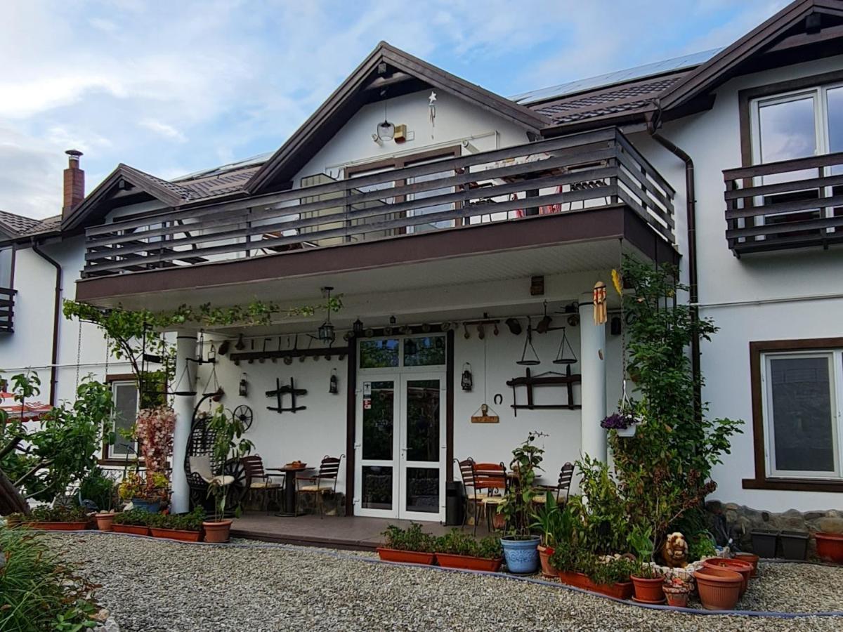 Ferienwohnung Casa Aryan Sînpetru Exterior foto