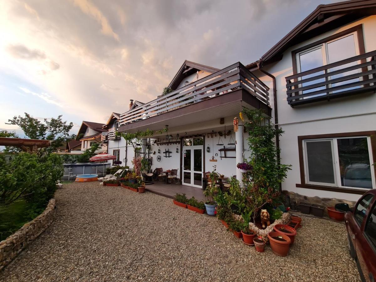 Ferienwohnung Casa Aryan Sînpetru Exterior foto