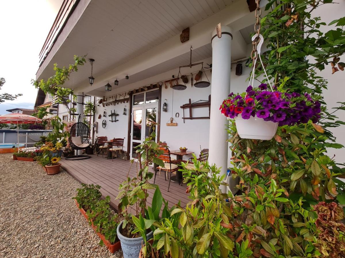 Ferienwohnung Casa Aryan Sînpetru Exterior foto