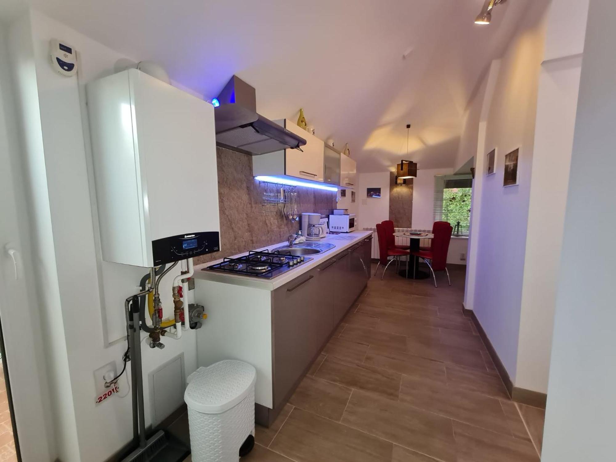 Ferienwohnung Casa Aryan Sînpetru Exterior foto